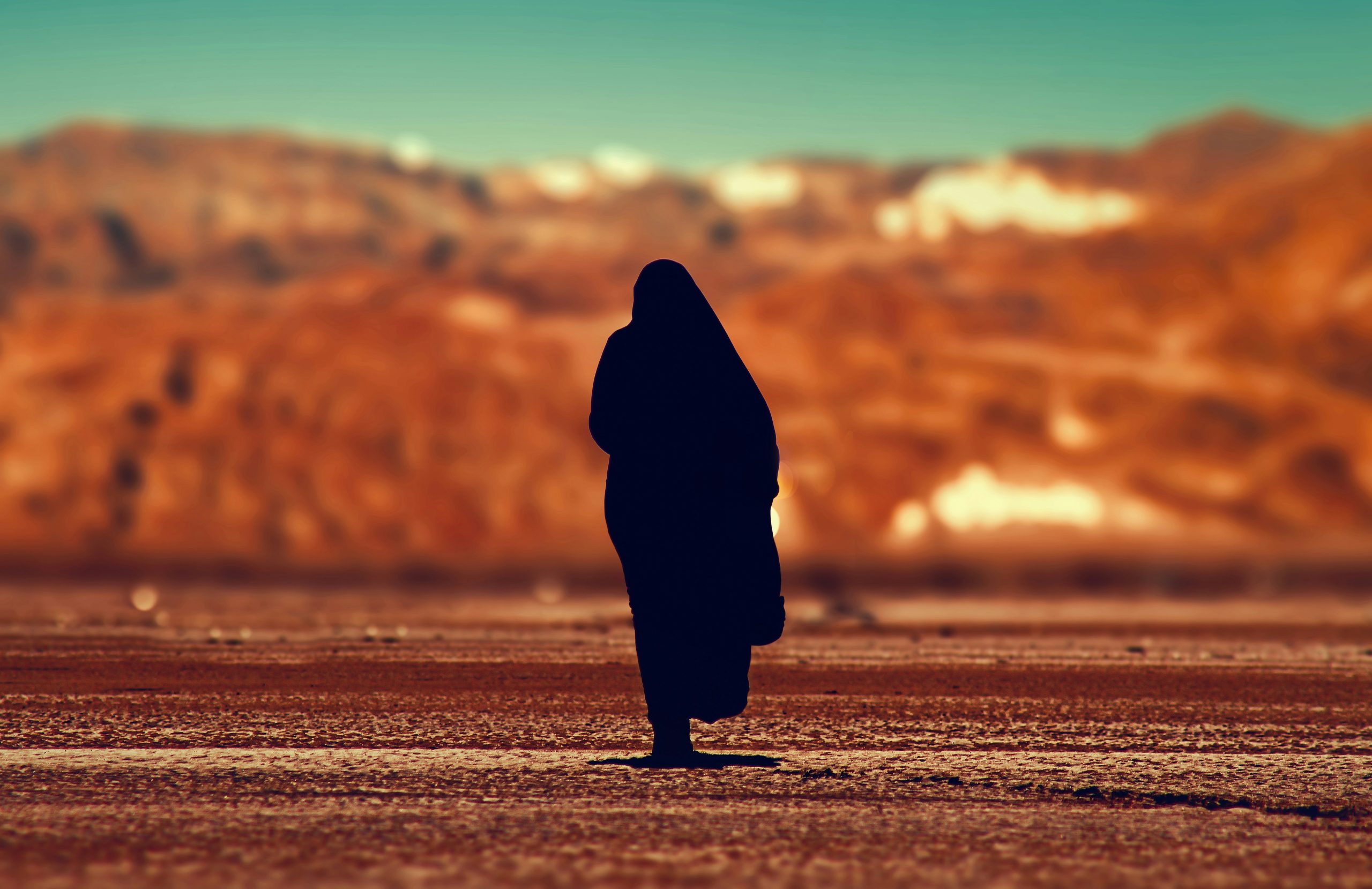 mohamed nohassi adtmgrdx28w unsplash